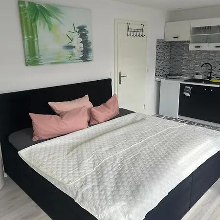 公寓 Moeoesini Am Kanonenberg 奎德林堡