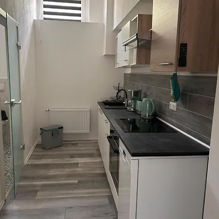 Apartment Moeoesini Am Kanonenberg *